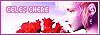 100x35 Button